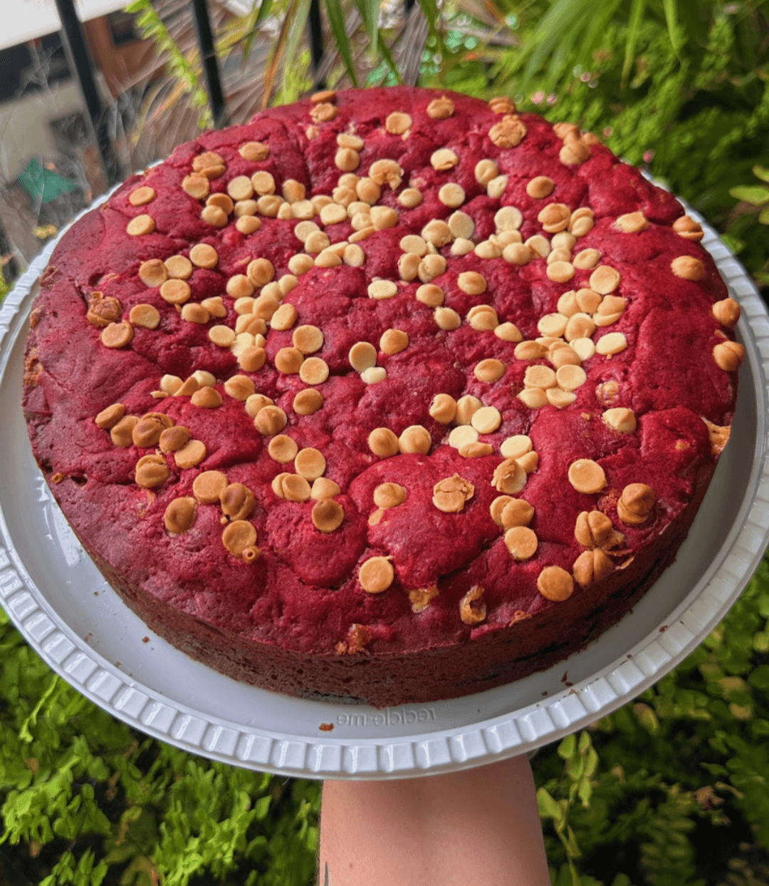 Torta de Cookie Super - 1,3 Kg
